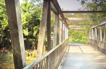 Iron bridge in the public park.
