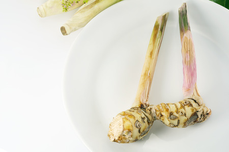 Galangal on white plate with copy space.