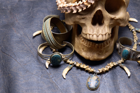 Skull and necklace of snake backbone on old and dirty black leather.の写真素材