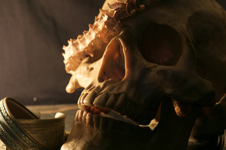 Skull and snake backbone on old and dirty black leather under candlelight.の写真素材