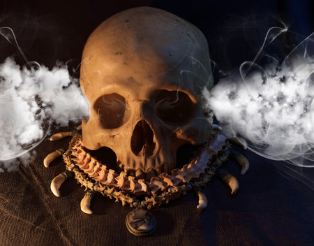 Skull and necklace of snake backbone on old and dirty black leather under candlelight.の写真素材