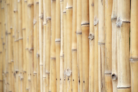 View of bamboo fence soft focus use as background.の写真素材
