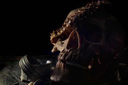 Skull and necklace of snake backbone on old and dirty black leather. Dark tone.の写真素材