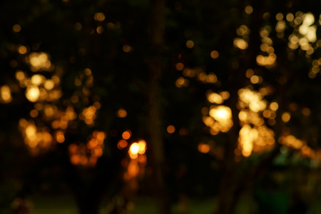 Abstract blur background of nature in the morning.の写真素材