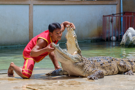 SAMUTPRAKARN,THAILAND - April 2: Crocodile show and man exciting and danger at crocodile farm on April 2, 2016, Samutprakarn,Thailand.のeditorial素材