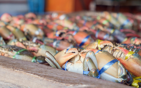 View of fresh sea crab in the market. Shallow depth of field.の写真素材