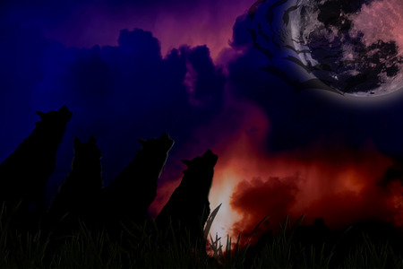 Silhouette of wolves with moon at night. Digital retouch.