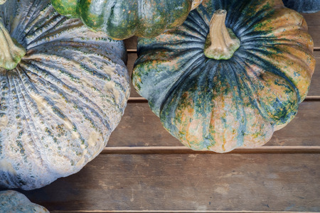 Pumpkin on wood background.の写真素材
