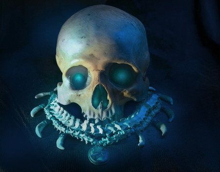 View of skull with snake backbone necklace on dark background.の写真素材