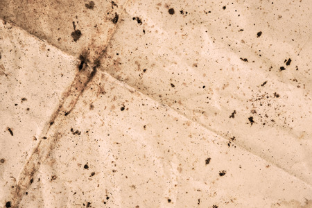Old paper background. Grunge style.の写真素材