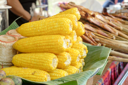 View of sweet corn in the market.の写真素材