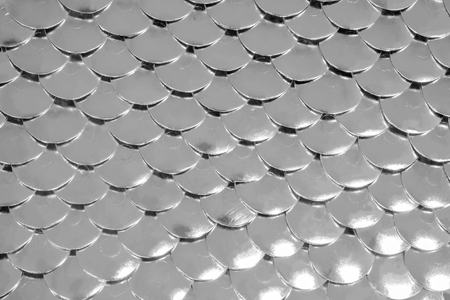 Abstract background texture of peg. Dargon skin. Black and white tone.の写真素材