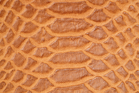Abstract texture background of snake skin. Belly.