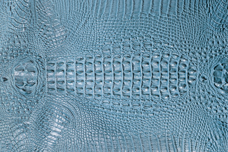 Abstract texture background of crocodile skin.の写真素材