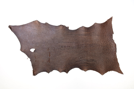 Abstract texture background of bird skin.