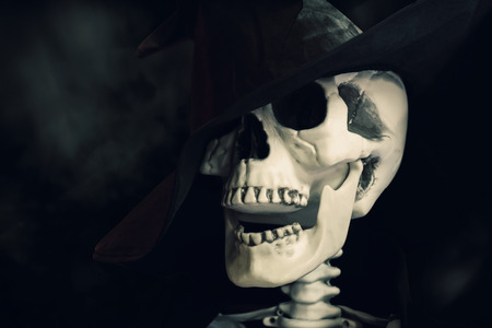 Close up of skeleton on dark background.