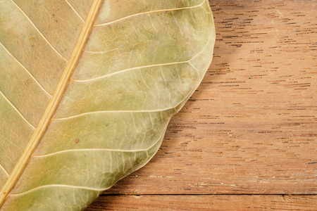 View of dry leaf on dirty wood background.