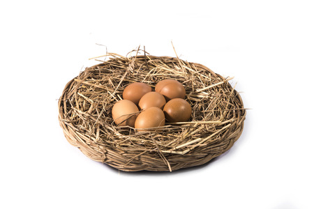 Brown eggs in grassy nest  isolated on  white background