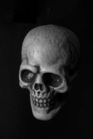 Human plastic skull on  black backgroundの写真素材