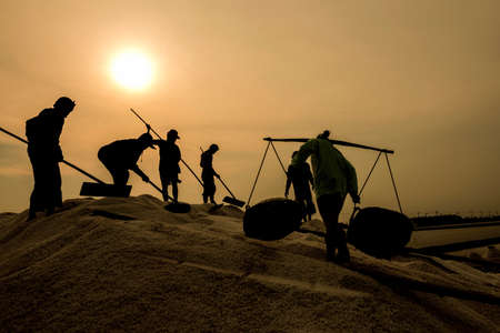 silhouette of  workers carrying salt with traditional shoulder pole with baskets during salt harvest...