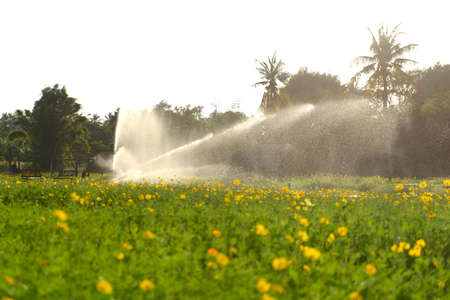 Springer sprays water to plants in the garden.