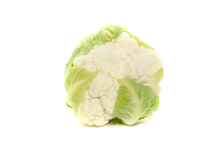 fresh cauliflower isolated on white backgroundの写真素材
