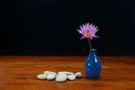 Beautiful pink water liliy in a vase on  the table
