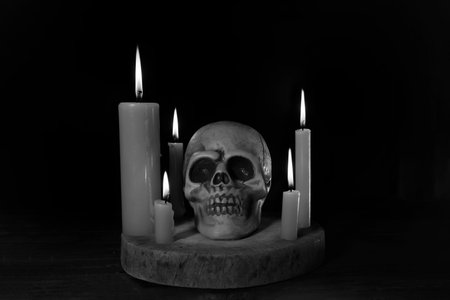 skull on a cutting board on dark background..Halloween day concept.の写真素材