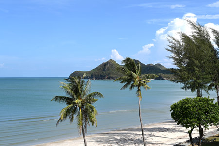 Tropical beach with green palm trees and blue sky in Thailandの写真素材