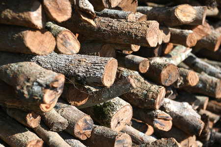 A pile of cut timber background