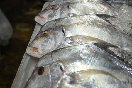 Close-up of the fresh fish for sale at the fish market in Thailand