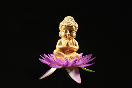Close-up of a little Buddha statue sitting on a pink lotus flower isolated on blck background.の写真素材