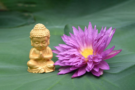 Close-up of Buddha Statue with beautiful blooming lotus flower on green leafの写真素材