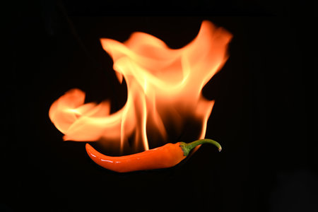 Red hot chili pepper with flame on a black background