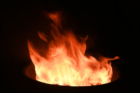 Burning fire flames on a black background