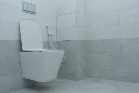 Modern toilet with hygienic showerの写真素材