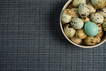 Quail egg in a cup on gray textured background. copy spaceの写真素材