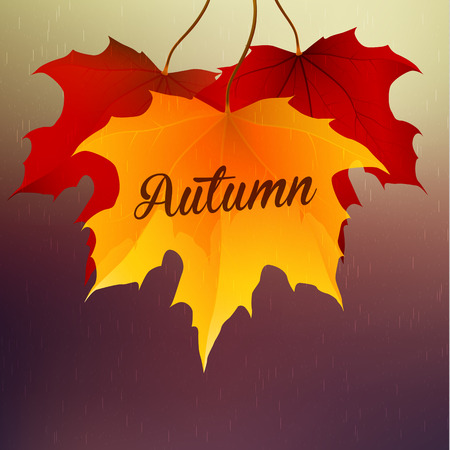 abstract autumn backgroundのイラスト素材