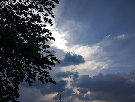 photos of leaves, sky and cloudsの写真素材