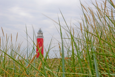 Tesel lighthouse with grass in frontの写真素材
