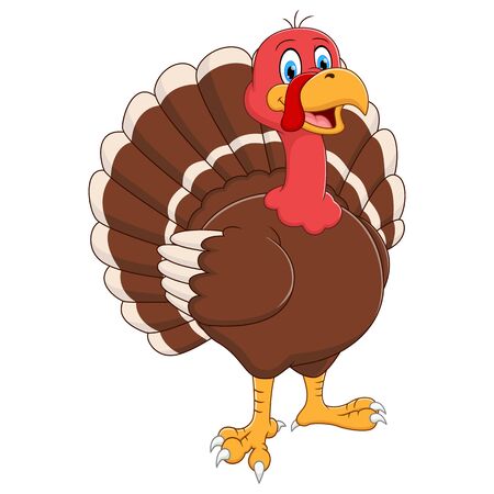 Cartoon turkey standing on white backgroundのイラスト素材