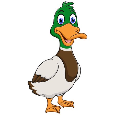 Cute baby duck isolated on white backgroundのイラスト素材