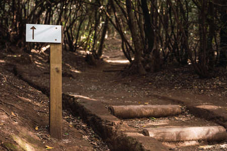 Post with white sign with upward arrow on a trail in the forestの写真素材