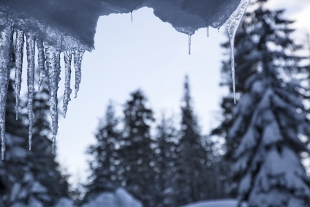 Icicles の写真素材