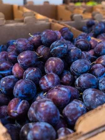 Summer plums at the marketの写真素材