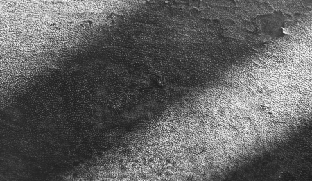 old leather texture mono tone            の写真素材