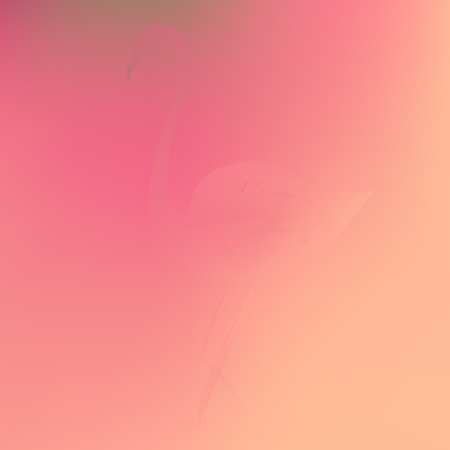 Original gradient flamingo background. Pink colored amazing texture. Gentle flamingo gradient. Colorful background with flamingoのイラスト素材