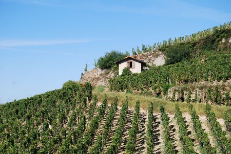 hermitage hillの写真素材