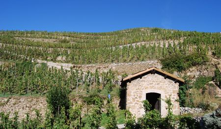 Hermitage hillの写真素材