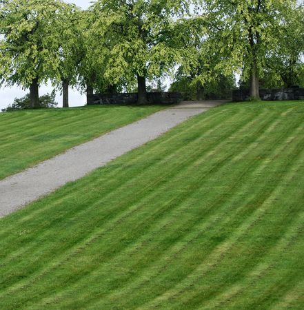 Green parkの写真素材